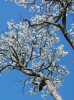 Nombre del archivo=Bhutan004.jpg
Tamaño del archivo=216Kb
Dimensiones=560x747
Fecha añadida=01 de Febrero de 11 Bhutan004.jpg