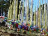 Nombre del archivo=Bhutan_25.jpg
Tamaño del archivo=129Kb
Dimensiones=560x420
Fecha añadida=01 de Febrero de 11 Bhutan_25.jpg