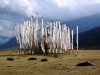 Nombre del archivo=Bhutan_30.jpg
Tamaño del archivo=75Kb
Dimensiones=560x420
Fecha añadida=01 de Febrero de 11 Bhutan_30.jpg