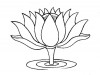 1lotus02.jpg