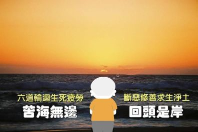 点选作品以查看原图