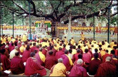 Tibetan monk at the Bodhi Tree