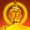 Buddha_thai.gif