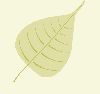 bodhi_leaf.gif